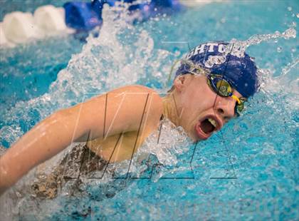 Thumbnail 2 in NYSPHSAA Girls Swimming Preliminaries photogallery.