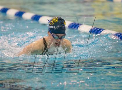 Thumbnail 3 in NYSPHSAA Girls Swimming Preliminaries photogallery.