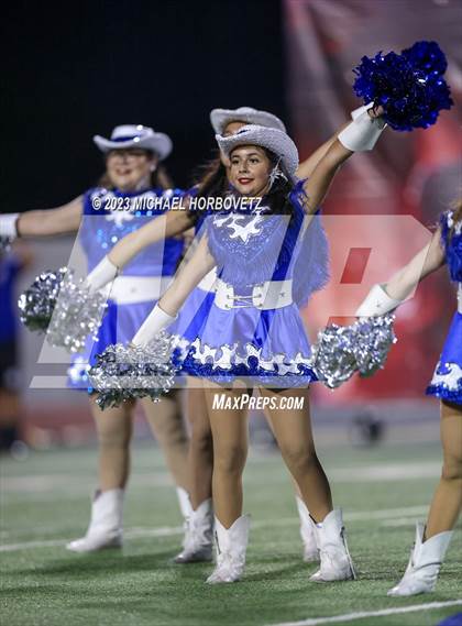Thumbnail 2 in Birdville @ Turner photogallery.