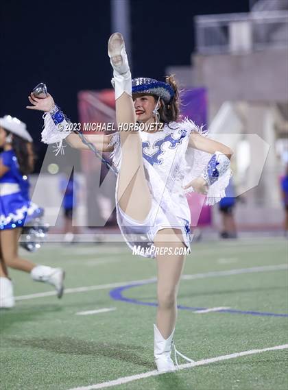 Thumbnail 3 in Birdville @ Turner photogallery.