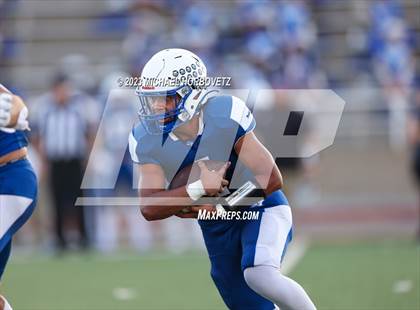 Thumbnail 2 in Birdville @ Turner photogallery.