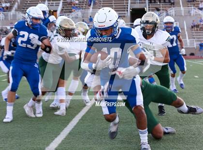 Thumbnail 3 in Birdville @ Turner photogallery.