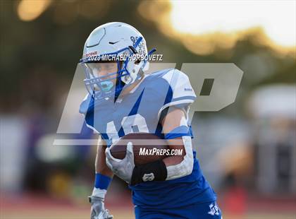 Thumbnail 2 in Birdville @ Turner photogallery.