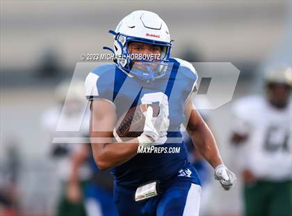 Thumbnail 3 in Birdville @ Turner photogallery.
