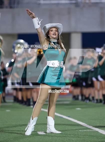 Thumbnail 1 in Birdville @ Turner photogallery.