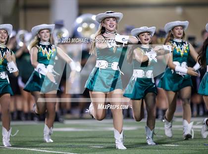 Thumbnail 3 in Birdville @ Turner photogallery.