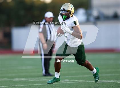 Thumbnail 3 in Birdville @ Turner photogallery.