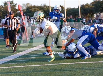 Thumbnail 2 in Birdville @ Turner photogallery.