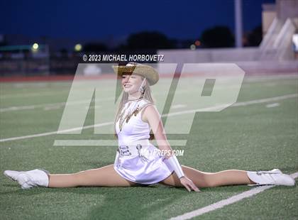 Thumbnail 2 in Birdville @ Turner photogallery.