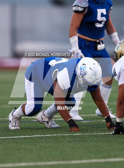 Thumbnail 3 in Birdville @ Turner photogallery.