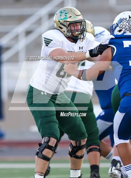 Thumbnail 1 in Birdville @ Turner photogallery.