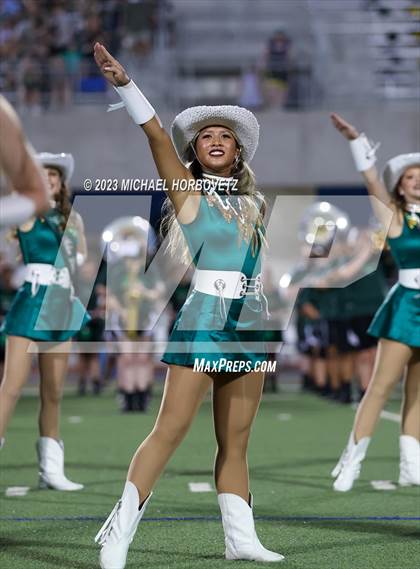 Thumbnail 3 in Birdville @ Turner photogallery.