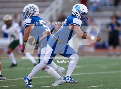 Thumbnail 1 in Birdville @ Turner photogallery.