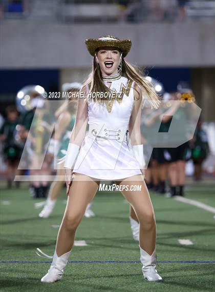 Thumbnail 3 in Birdville @ Turner photogallery.