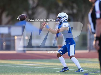 Thumbnail 2 in Birdville @ Turner photogallery.