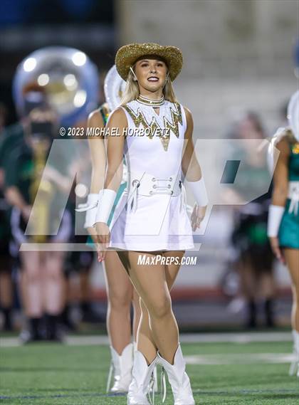 Thumbnail 1 in Birdville @ Turner photogallery.