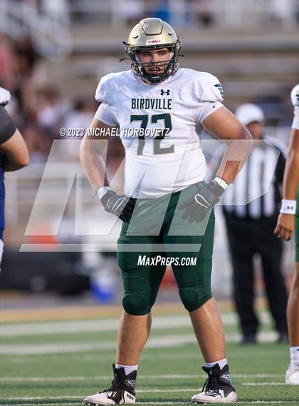 Thumbnail 1 in Birdville @ Turner photogallery.