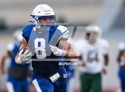 Thumbnail 2 in Birdville @ Turner photogallery.