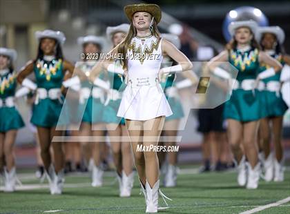 Thumbnail 2 in Birdville @ Turner photogallery.