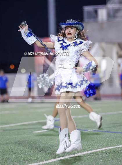 Thumbnail 2 in Birdville @ Turner photogallery.