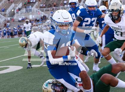 Thumbnail 1 in Birdville @ Turner photogallery.