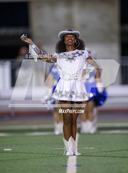 Thumbnail 1 in Birdville @ Turner photogallery.