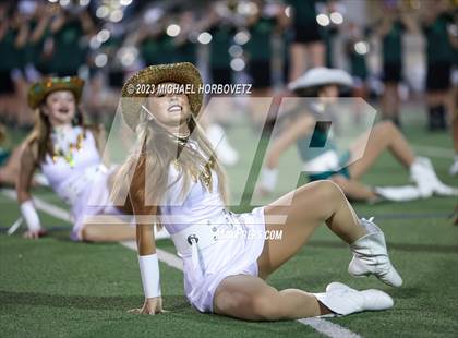 Thumbnail 1 in Birdville @ Turner photogallery.