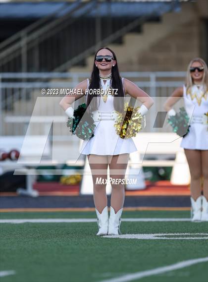 Thumbnail 3 in Birdville @ Turner photogallery.