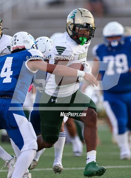 Thumbnail 1 in Birdville @ Turner photogallery.