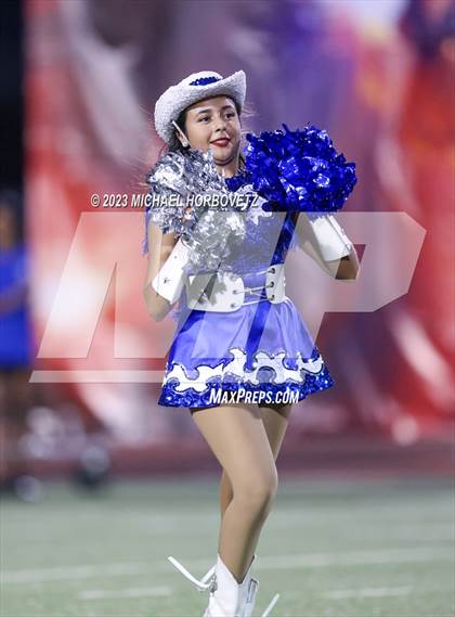 Thumbnail 2 in Birdville @ Turner photogallery.