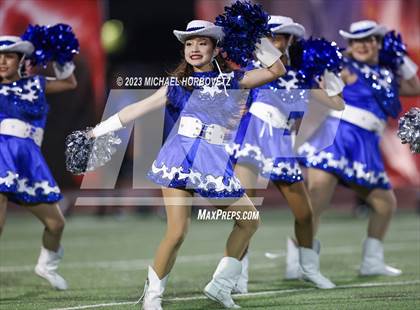 Thumbnail 2 in Birdville @ Turner photogallery.