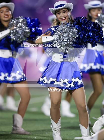 Thumbnail 3 in Birdville @ Turner photogallery.