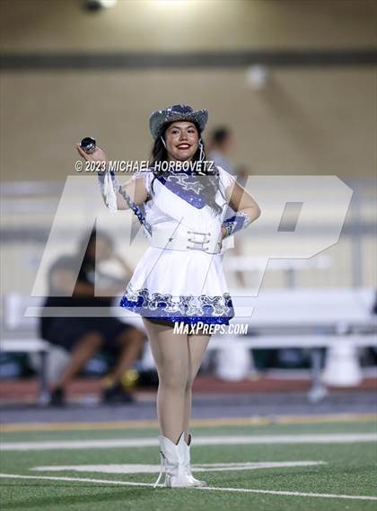 Thumbnail 2 in Birdville @ Turner photogallery.