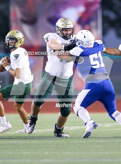 Thumbnail 2 in Birdville @ Turner photogallery.