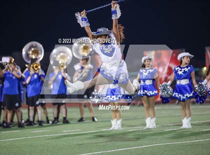 Thumbnail 2 in Birdville @ Turner photogallery.
