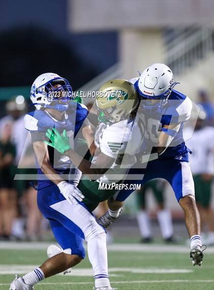 Thumbnail 3 in Birdville @ Turner photogallery.