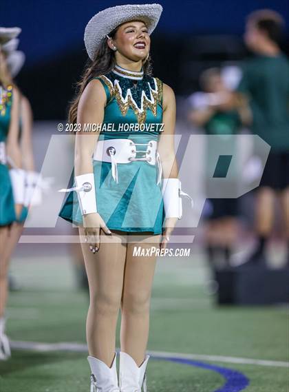 Thumbnail 2 in Birdville @ Turner photogallery.