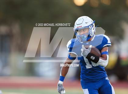 Thumbnail 1 in Birdville @ Turner photogallery.