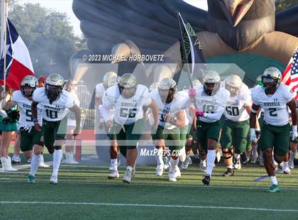 Thumbnail 3 in Birdville @ Turner photogallery.