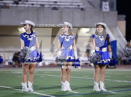 Thumbnail 3 in Birdville @ Turner photogallery.