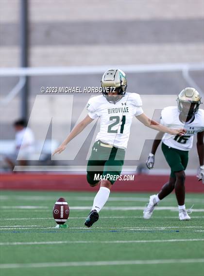 Thumbnail 3 in Birdville @ Turner photogallery.