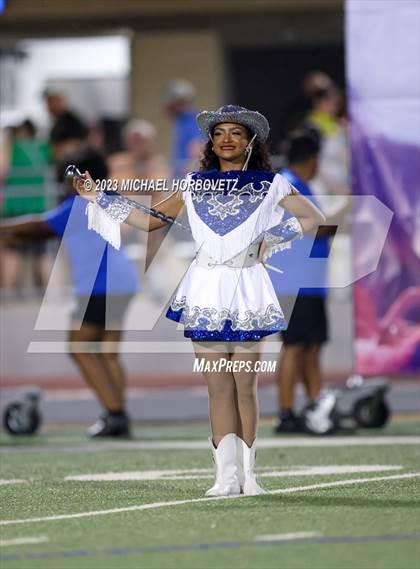 Thumbnail 1 in Birdville @ Turner photogallery.