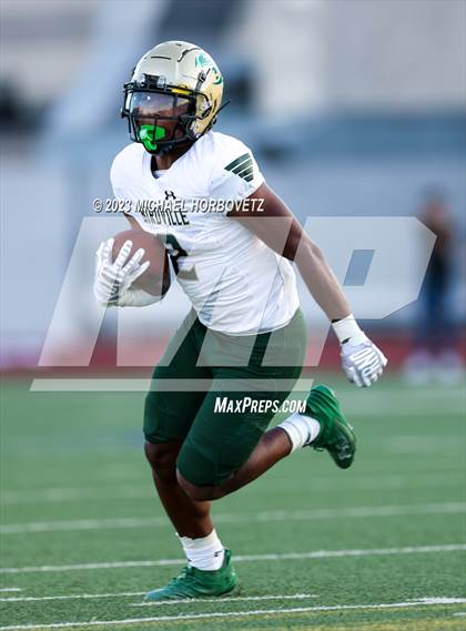 Thumbnail 1 in Birdville @ Turner photogallery.