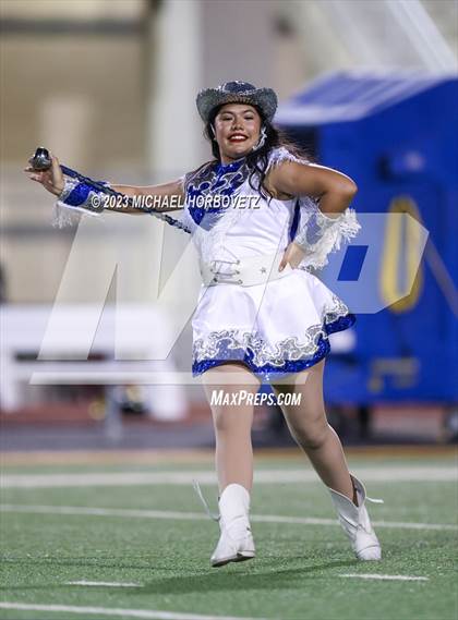 Thumbnail 1 in Birdville @ Turner photogallery.