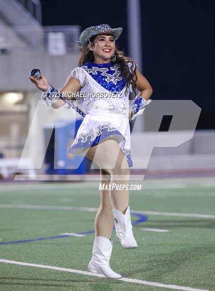 Thumbnail 1 in Birdville @ Turner photogallery.