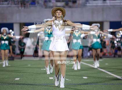 Thumbnail 3 in Birdville @ Turner photogallery.