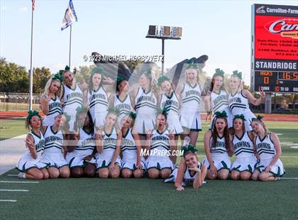 Thumbnail 3 in Birdville @ Turner photogallery.