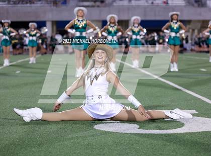 Thumbnail 3 in Birdville @ Turner photogallery.