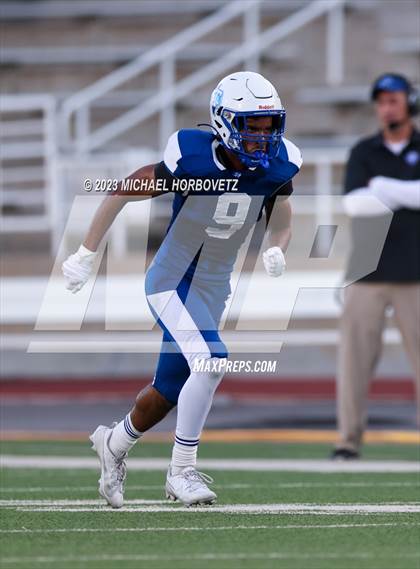 Thumbnail 2 in Birdville @ Turner photogallery.