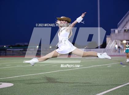 Thumbnail 1 in Birdville @ Turner photogallery.